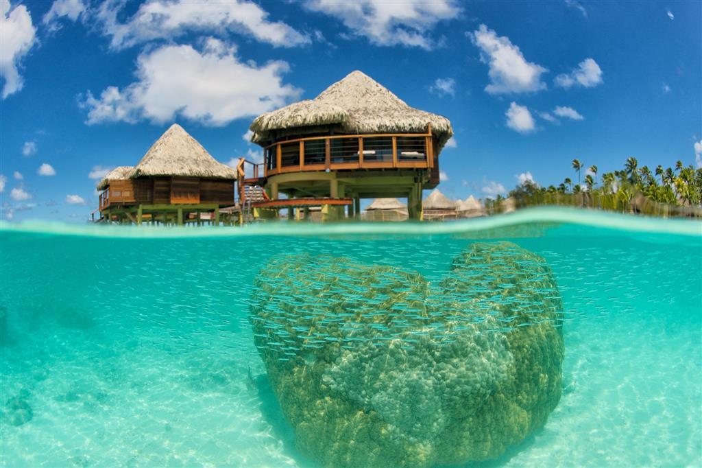 Hotel Kia Ora Resort & Spa Avatoru İç mekan fotoğraf